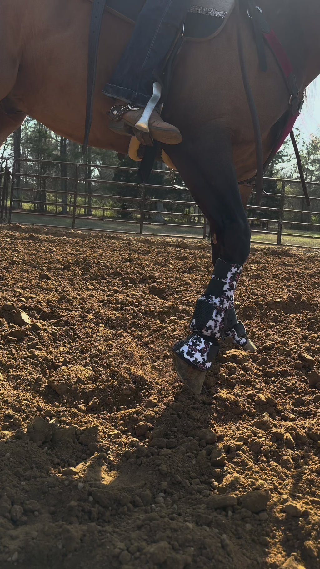 ROYAL B PERFORMANCE  BELL BOOTS